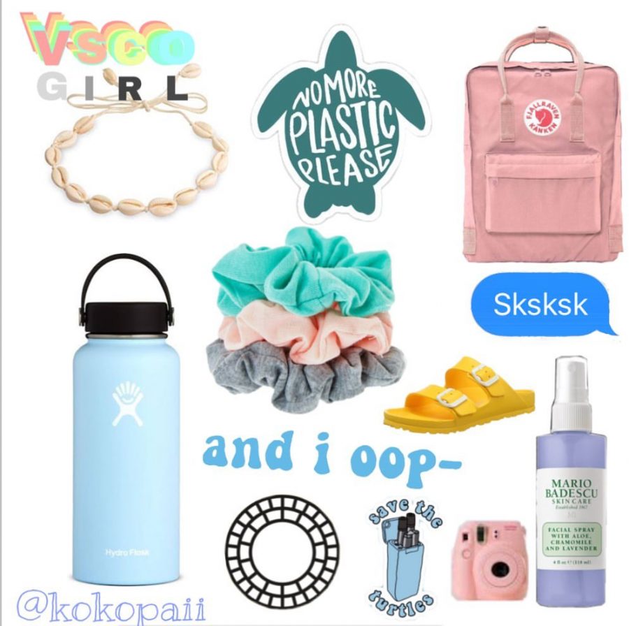 Vsco girl bag cheap name