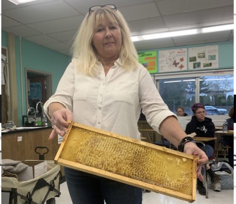 Bee-utiful Bees: How anyone can become a beekeeper