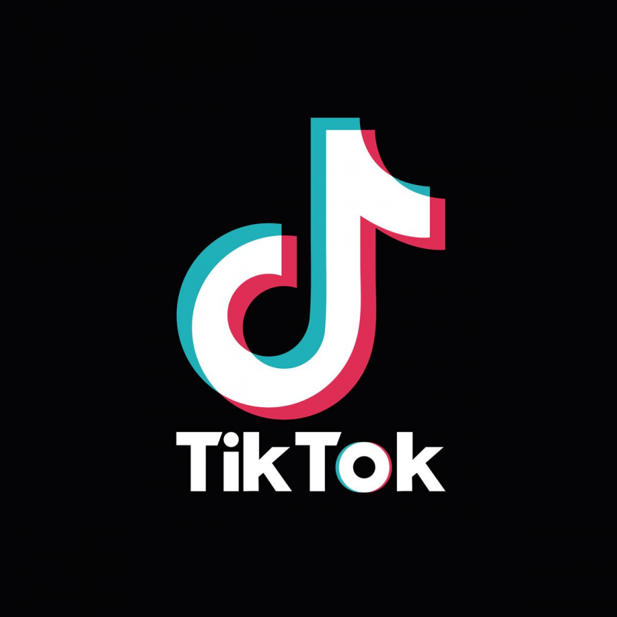 With over 800 million users worldwide, TikTok — which started as a small-growing social media app — has now become one of the most used social media platforms in the world.