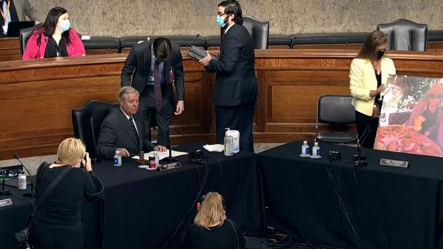 Democratic Senators abstained from the Senate Judiciary Committee vote and put pictures of Americans protected under the Affordable Care Act in place of themselves (shown on right).