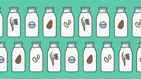 In recent years, dairy alternatives — from milk made from almonds and coconuts to that made from soy, rice, and oats — have soared in popularity.