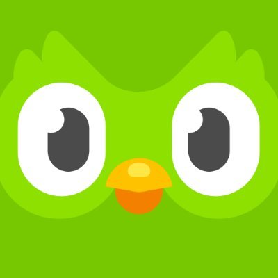 What Has Over One Year of Learning on Duolingo Taught Me?