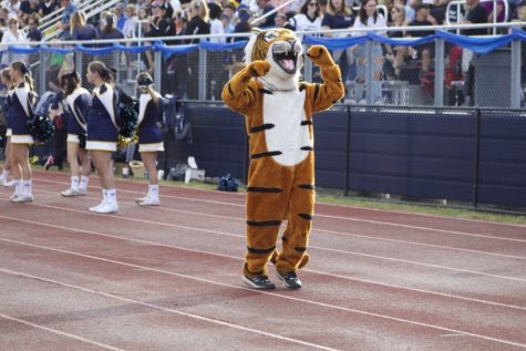 What’s black and orange with school pride all over? Northport High School’s very own mascot, Tony the Tiger. If you’ve been to some of our school’s events, there’s no doubt you’ve seen Tony handing out high-fives and spreading Northport spirit. But have you ever wondered who’s behind that mask? What student has enough pride to take on the ambitious role of a school mascot? 