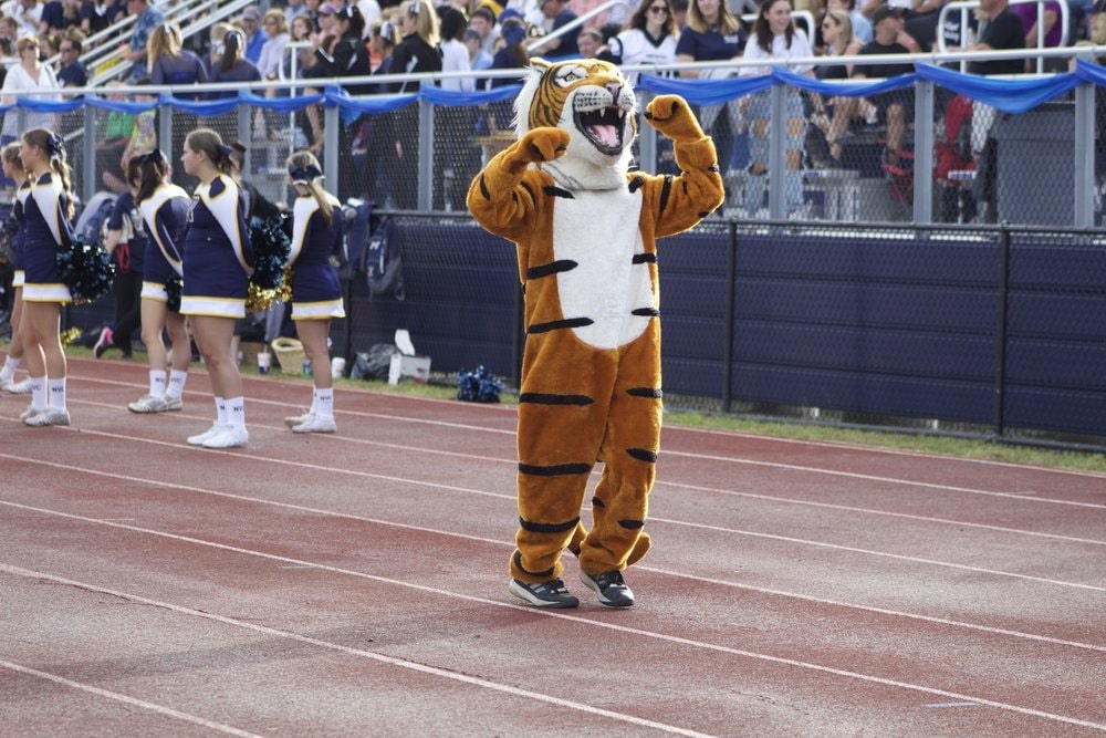 Help Us Name Our New Tiger Mascot – Bardstown Middle School