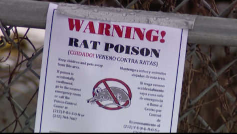 Recently there were traces of dangerous rat poison found in Northport Harbor Park.