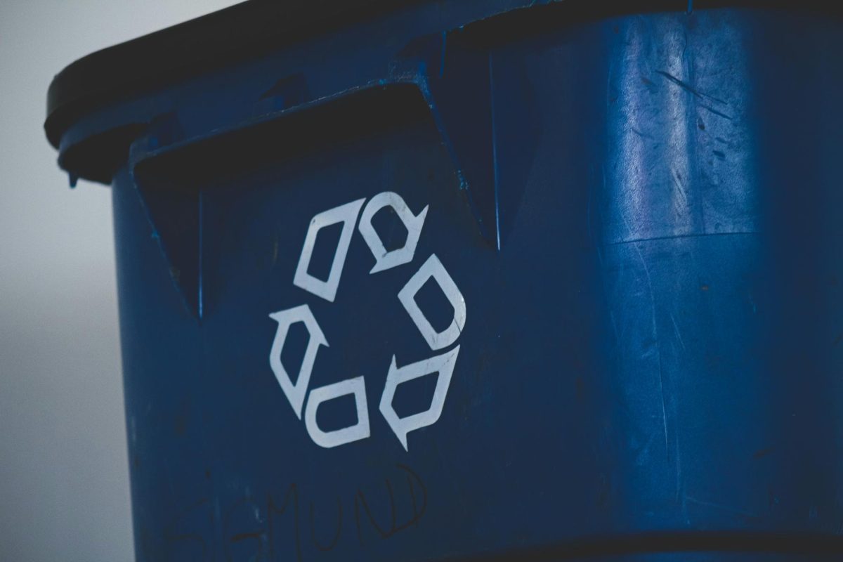 Is recycling really as beneficial as weve been told it is? 
