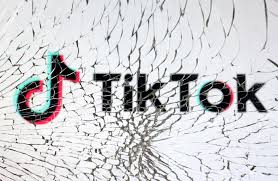Since its release in 2016, TikTok has steadily grown as an app.