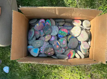 Rocks painted by staff and students for Wellness Week. 