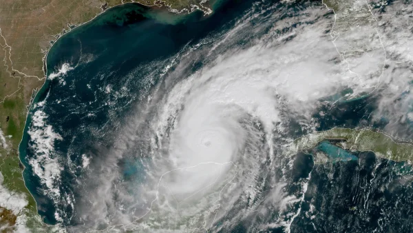 Hurricanes in Tampa Impact the Rays